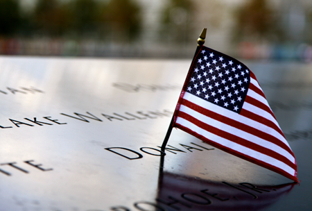 美國標識 移民美國